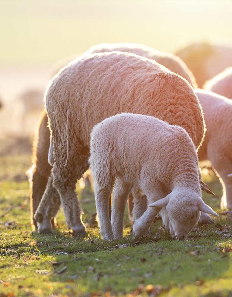 Blog Stoney Creek image 1