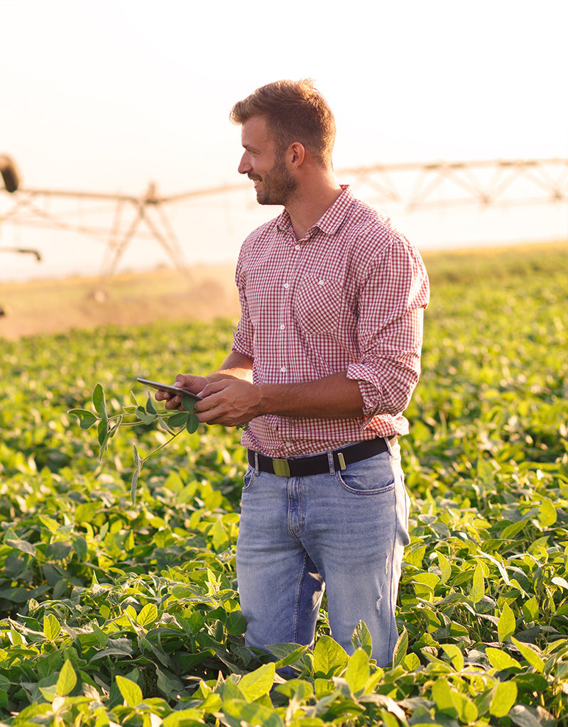 Blog Stoney Creek image 2 Blog Stoney Creek image 2