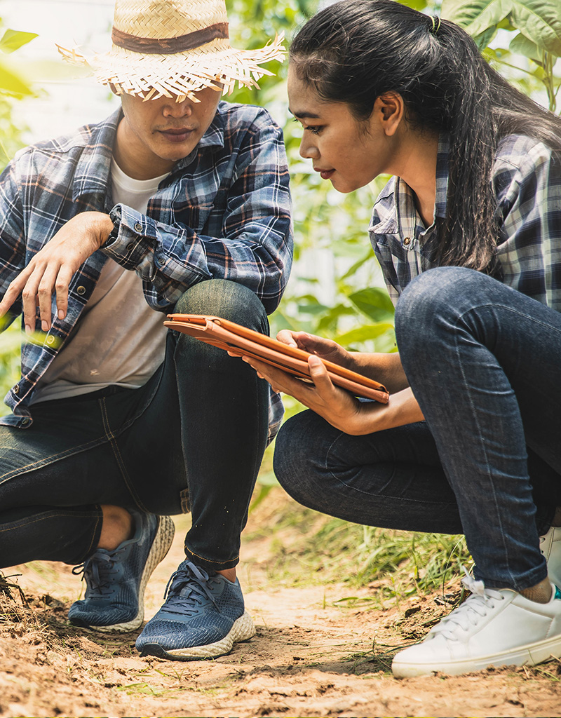 Blog Stoney Creek image 3 Blog Stoney Creek image 3