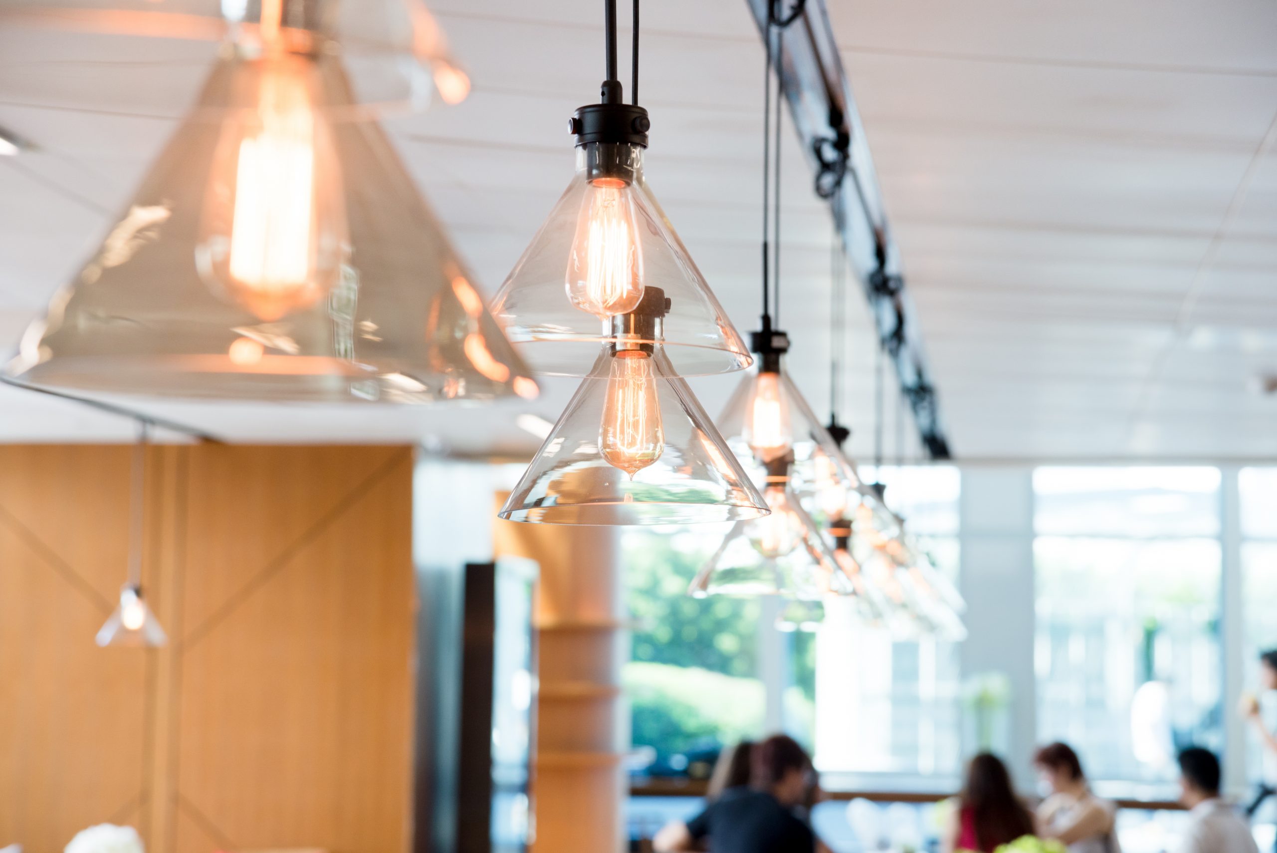 hanging ceiling lights in a modern shared office space